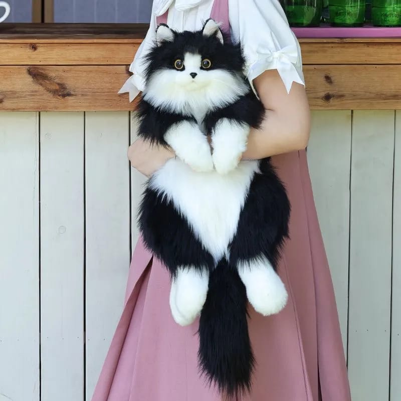 WhatsApp Image 2025-08-22 at 11.15.43 PM (2)